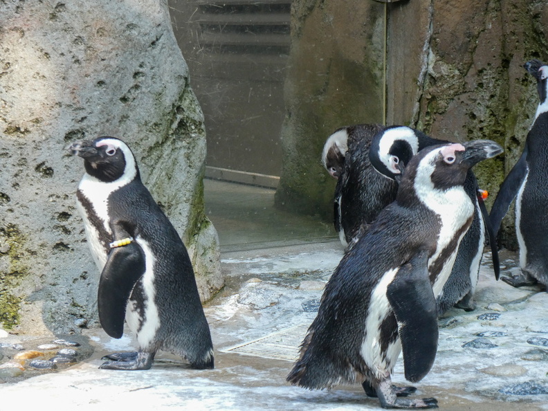 LRM EXPORT 48099974166618 20190815 173147808